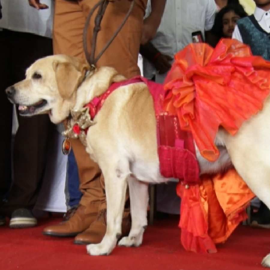 ಸಾಕು ಪ್ರಾಣಿಗಳ ಪ್ರದರ್ಶನದಲ್ಲಿ ಮೈನ್ ಅಟ್ರ್ಯಾಕ್ಷನ್ ಚಾರ್ಲಿ. ರಕ್ಷಿತ್ ಶೆಟ್ಟಿ ಅಭಿನಯದ ಚಾರ್ಲಿ 777 ಸಿನಿಮಾದಲ್ಲಿ ನಟಿಸಿದ್ದ ಚಾರ್ಲಿ ಕೆಂಪ್ಪು ಬಣ್ಣದ ಬಟ್ಟೆ ತೊಟ್ಟು ಪ್ರದರ್ಶನದಲ್ಲಿ ಭಾಗವಹಿಸಿದ್ದು ವಿಶೇಷವಾಗಿತ್ತು. 
