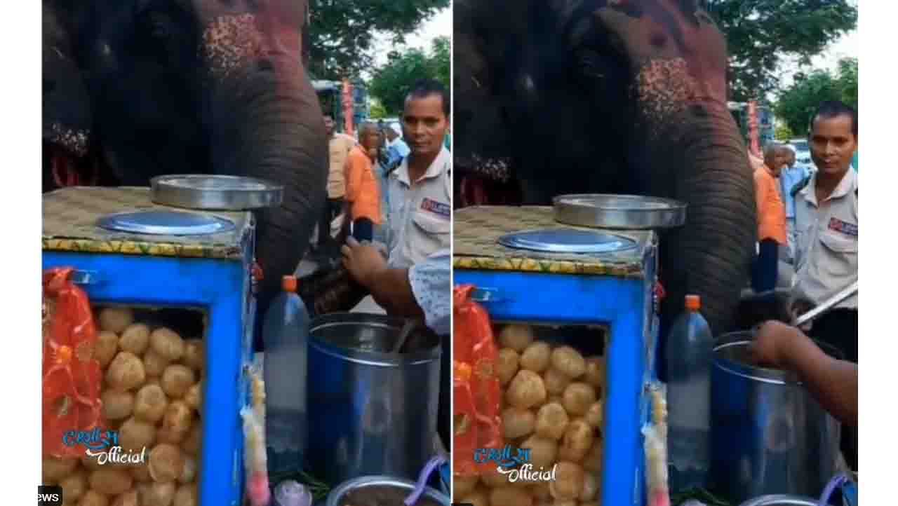 ಆನೆ ಬಂತೊಂದಾನೆ, ಅಸ್ಸಾಮಿಂದ ಬಂತೊ, ಪಾನೀಪುರಿ ತಿಂತೋ ಆನೆ ಬಂತೊಂದಾನೆ, ಅಸ್ಸಾಮಿಂದ ಬಂತೊ, ಪಾನೀಪುರಿ ತಿಂತೋ