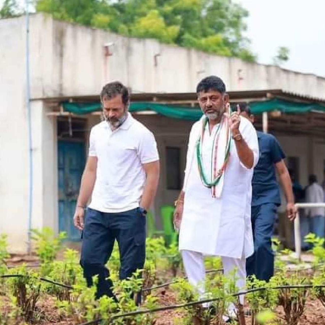 ಚಿತ್ರದುರ್ಗ ಜಿಲ್ಲೆಯ ಚಳ್ಳಕೆರೆ ಹೊರವಲಯದಿಂದ ಭಾರತ್ ಜೋಡೋ ಯಾತ್ರೆ ಆರಂಭವಾಗಿದ್ದು, ರಾಹುಲ್ ಗಾಂಧಿ ಎಂದಿನಂತೆ ಇಂದು ಕೂಡ ಫುಲ್ ಜೋಶ್​ನಲ್ಲಿ ಹೆಜ್ಜೆಹಾಕಿದರು. ಈ ವೇಳೆ ಶೇಂಗಾ ಹೊಲಕ್ಕೆ ಭೇಟಿ ನೀಡಿದರು.      