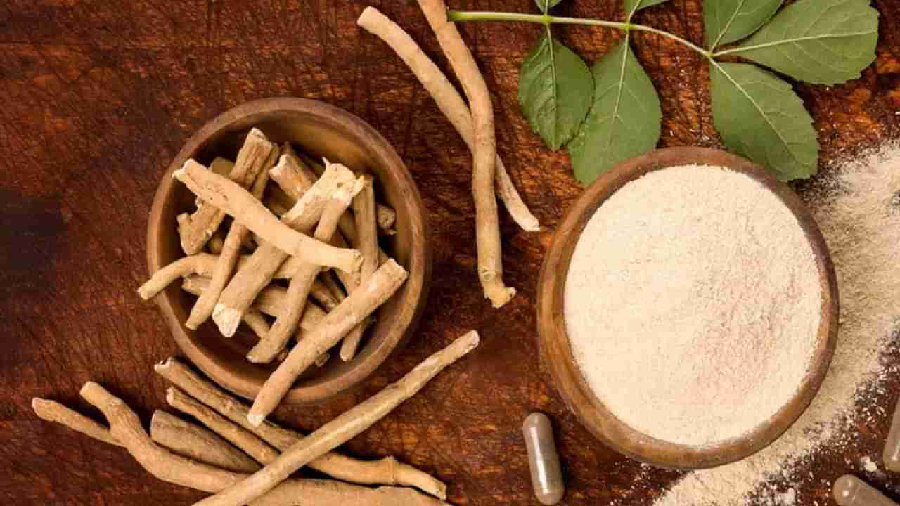 Ashwagandha Benefits: ಅಶ್ವಗಂಧ ಸೇವಿಸುವುದರಿಂದ ಎಷ್ಟೆಲ್ಲಾ ಪ್ರಯೋಜನಗಳಿವೆ ಗೊತ್ತಾ? ಇಲ್ಲಿದೆ ಮಾಹಿತಿ