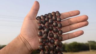 ಮಹೇಶ್ ಬಾಬುಗೆ ಜತೆಯಾದ ದೀಪಿಕಾ ಪಡುಕೋಣೆ? ರಾಜಮೌಳಿ ನಿರ್ದೇಶನದಲ್ಲಿ ಕನ್ನಡದ ಬ್ಯೂಟಿ