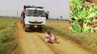 ಬಳ್ಳಾರಿ, ದಾವಣಗೆರೆ, ತುಮಕೂರಿನಲ್ಲಿ ಪ್ರತ್ಯೇಕ ರಸ್ತೆ ಅಪಘಾತ: ನಾಲ್ವರು ದುರ್ಮರಣ