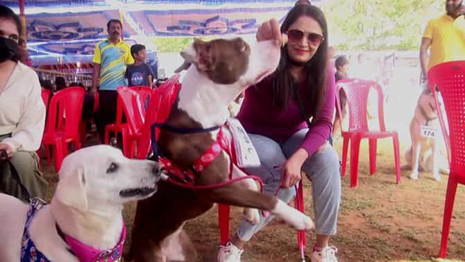 Hassan: ಜನರಲ್ಲಿ ಹೆಚ್ಚಾಗ್ತಿದೆ ಶ್ವಾನ ಪ್ರೀತಿ, ಅದಕ್ಕೆ ಹಾಸನದಲ್ಲಿ ನಡೆದ ಈ ಡಾಗ್ ಷೋ ಸಾಕ್ಷಿ! ಫೋಟೊ ಗ್ಯಾಲರಿ