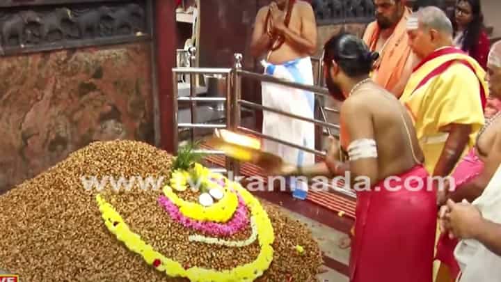 Bangalore Kadalekayi Parishe: ಬಸವನಗುಡಿಯಲ್ಲಿ ಐತಿಹಾಸಿಕ ಕಡಲೆಕಾಯಿ ಪರಿಷೆ ಶುರು Bangalore Kadalekayi Parishe: ಬಸವನಗುಡಿಯಲ್ಲಿ ಐತಿಹಾಸಿಕ ಕಡಲೆಕಾಯಿ ಪರಿಷೆ ಶುರು