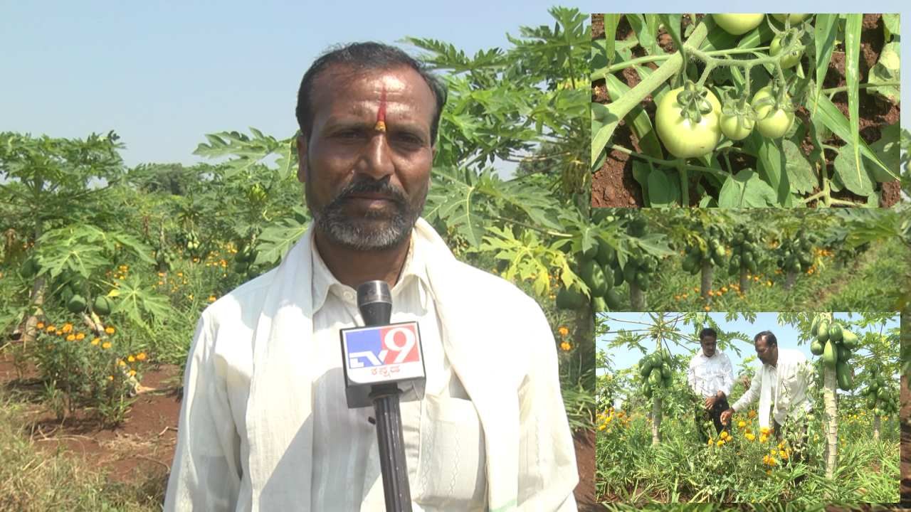 ಓದಿದ್ದು 5ನೇ ತರಗತಿಯಾದರೂ, ಕೃಷಿಯಲ್ಲಿ ಪದವೀಧರ; ಬೀದರ್​ ಜಿಲ್ಲೆಗೆ ಮಾದರಿಯಾದ ರೈತ