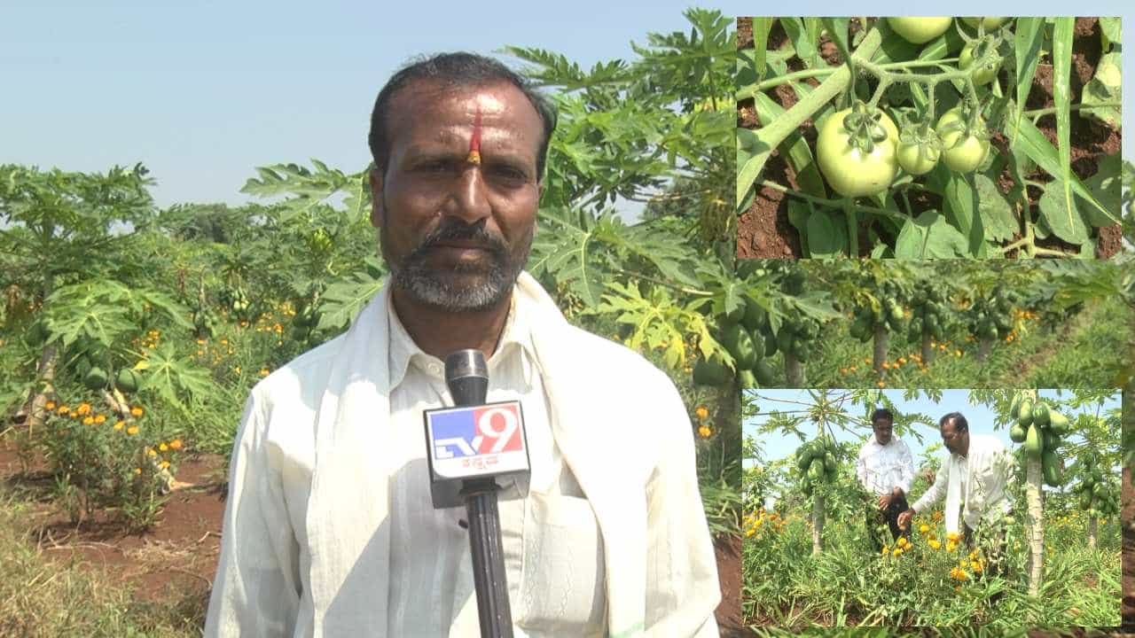 ಓದಿದ್ದು 5ನೇ ತರಗತಿಯಾದರೂ, ಕೃಷಿಯಲ್ಲಿ ಪದವೀಧರ; ಬೀದರ್ ಜಿಲ್ಲೆಗೆ ಮಾದರಿಯಾದ ರೈತ ಓದಿದ್ದು 5ನೇ ತರಗತಿಯಾದರೂ, ಕೃಷಿಯಲ್ಲಿ ಪದವೀಧರ; ಬೀದರ್ ಜಿಲ್ಲೆಗೆ ಮಾದರಿಯಾದ ರೈತ