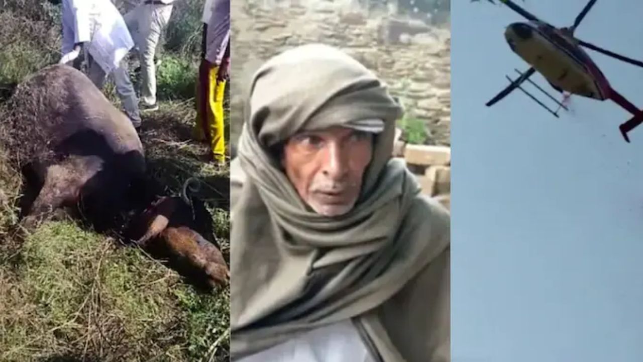 Rajasthan: ಹೆಲಿಕಾಪ್ಟರ್ನ ಶಬ್ದದಿಂದ ನನ್ನ ಎಮ್ಮೆ ಸಾವನ್ನಪ್ಪಿದೆ ಶಾಸಕನ ವಿರುದ್ಧ ದೂರು ನೀಡಿದ ರೈತ Rajasthan: ಹೆಲಿಕಾಪ್ಟರ್ನ ಶಬ್ದದಿಂದ ನನ್ನ ಎಮ್ಮೆ ಸಾವನ್ನಪ್ಪಿದೆ ಶಾಸಕನ ವಿರುದ್ಧ ದೂರು ನೀಡಿದ ರೈತ