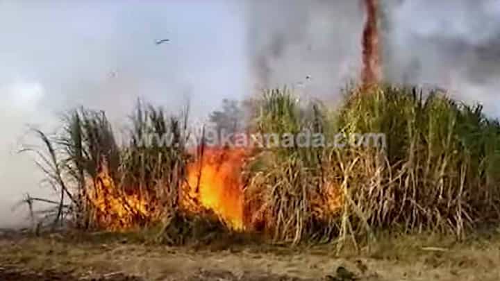 ಬೀದರ್: ಹುಮ್ನಾಬಾದ ಬಳಿ ಶಾರ್ಟ್ ಸರ್ಕ್ಯೂಟ್ ನಿಂದ ಕಬ್ಬಿನ ಗದ್ದೆಗೆ ಬೆಂಕಿ, ಲಕ್ಷಾಂತರ ರೂ. ಬೆಳೆ ನಾಶ ಬೀದರ್: ಹುಮ್ನಾಬಾದ ಬಳಿ ಶಾರ್ಟ್ ಸರ್ಕ್ಯೂಟ್ ನಿಂದ ಕಬ್ಬಿನ ಗದ್ದೆಗೆ ಬೆಂಕಿ, ಲಕ್ಷಾಂತರ ರೂ. ಬೆಳೆ ನಾಶ