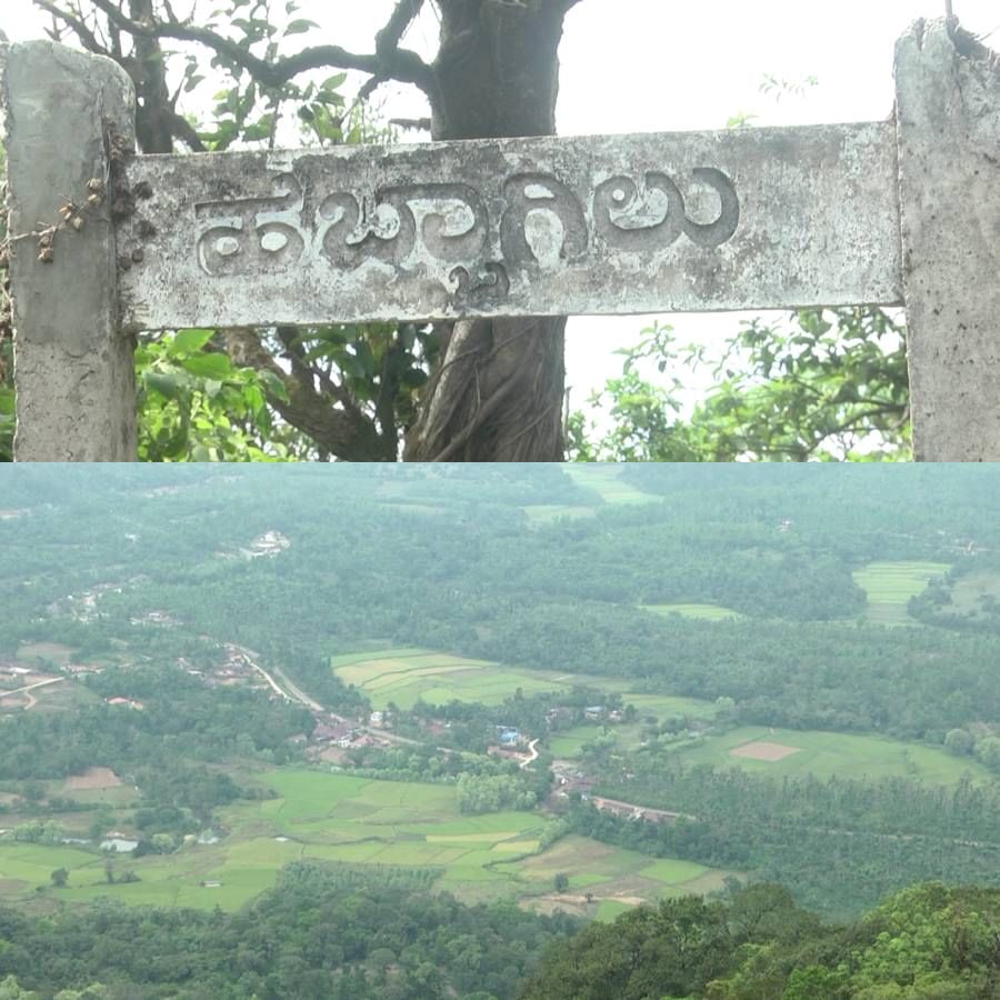 ಹಾಸನ ಜಿಲ್ಲೆ ಸಕಲೇಶಪುರ ತಾಲೂಕಿನ ಯಸಳೂರು ಹೋಬಳಿಯ ಗವಿಗುಡ್ಡ ಪ್ರವಾಸಿಗರಿಗೆ ಅಷ್ಟೊಂದು ಪರಿಚಯ ಇಲ್ಲ. ಆದ್ರೆ ಚಾರಣಿಗರಿಗೆ, ಸಾಹಸಿಗರಿಗೆ ಇದೇ ನೆಚ್ಚಿನ ತಾಣ. 