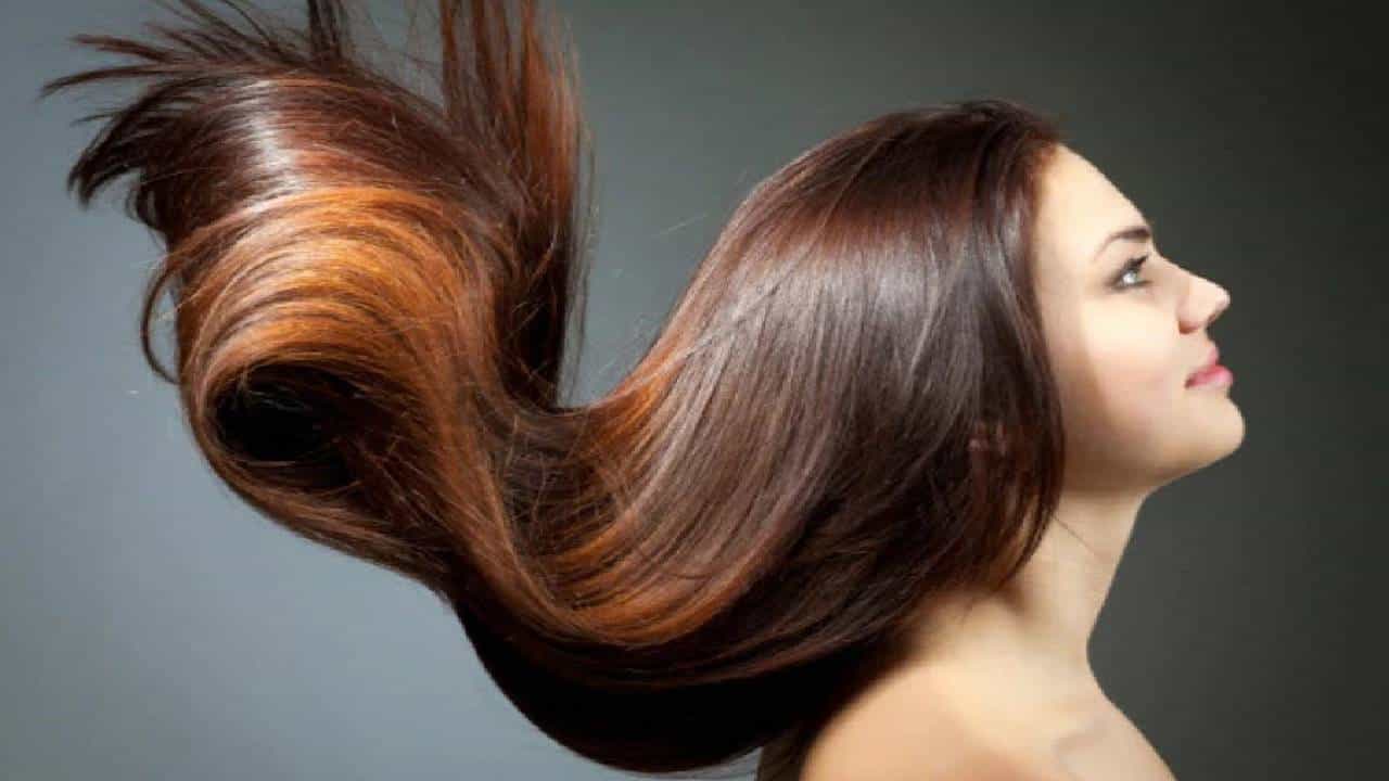 Shiny Hair: ಆರೋಗ್ಯಕರ ಮತ್ತು ಹೊಳೆಯುವ ಕೂದಲಿಗೆ 5 ಪ್ರೋಟೀನ್-ಭರಿತ ಆಹಾರಗಳು ಇಲ್ಲಿವೆ Shiny Hair: ಆರೋಗ್ಯಕರ ಮತ್ತು ಹೊಳೆಯುವ ಕೂದಲಿಗೆ 5 ಪ್ರೋಟೀನ್-ಭರಿತ ಆಹಾರಗಳು ಇಲ್ಲಿವೆ