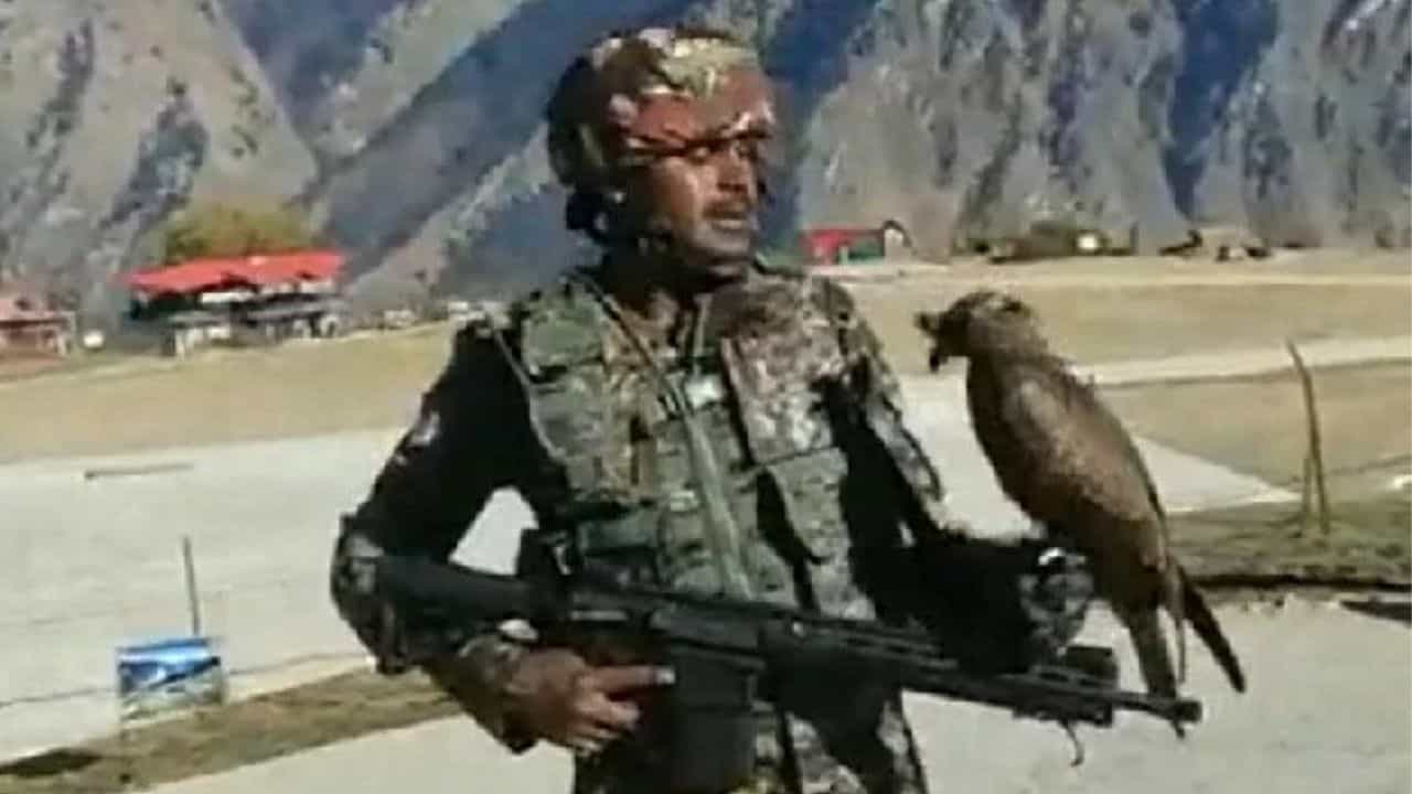 Indian Army trains kites: ಶತ್ರು ರಾಷ್ಟ್ರಗಳ ಡ್ರೋನ್ ಹೊಡೆದುರುಳಿಸಲು 'ಅರ್ಜುನ್'ಗೆ ತರಬೇತಿ Indian Army trains kites: ಶತ್ರು ರಾಷ್ಟ್ರಗಳ ಡ್ರೋನ್ ಹೊಡೆದುರುಳಿಸಲು 'ಅರ್ಜುನ್'ಗೆ ತರಬೇತಿ