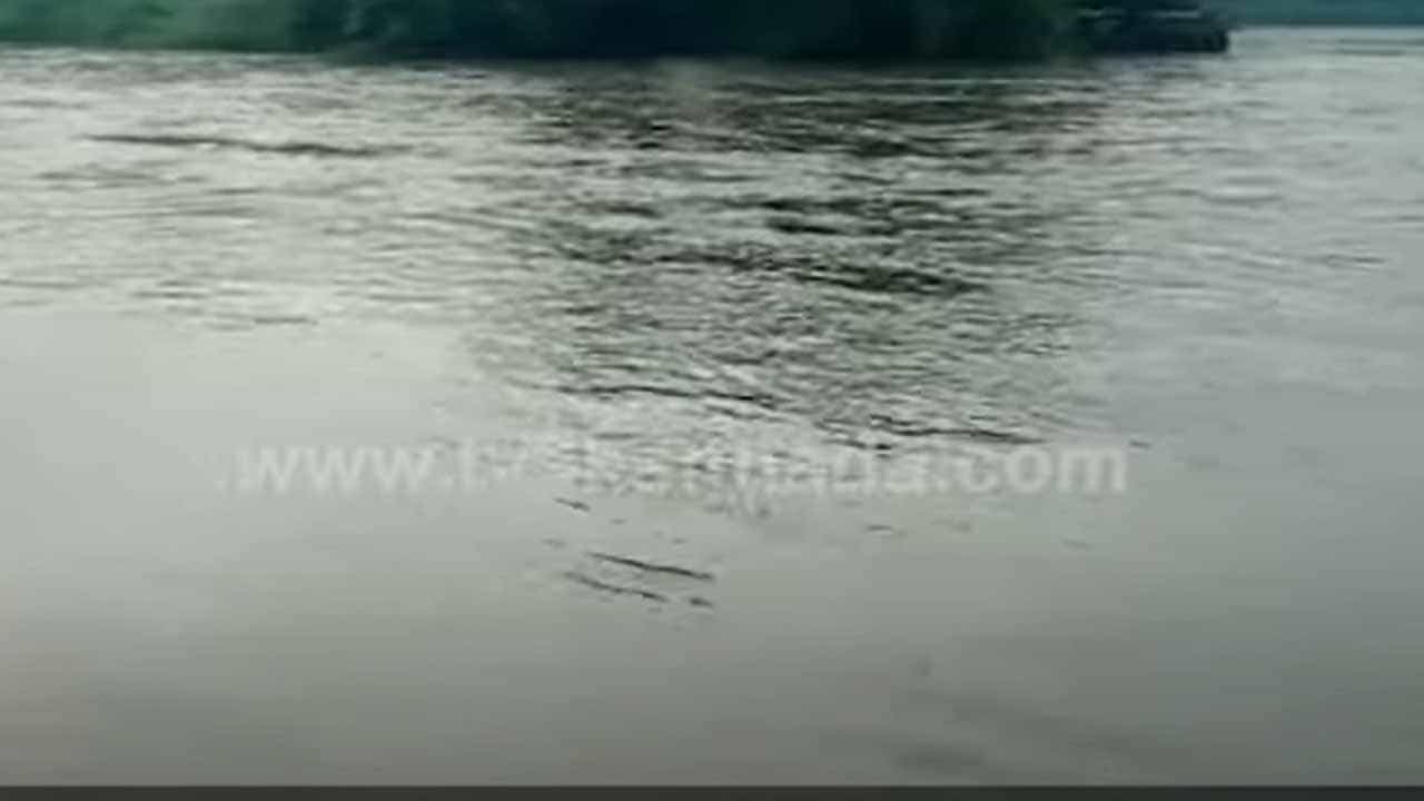 ಕಾರವಾರ: ಜನರ ಎಚ್ಚರಿಕೆ ಕಡೆಗಣಿಸಿ ಈಜಲು ಕಾಳಿ ನದಿಗಿಳಿದವನನ್ನು ನರಭಕ್ಷಕ ಮೊಸಳೆ ನೀರಿನಾಳಕ್ಕೆ ಎಳೆದೊಯ್ಯಿತು! ಕಾರವಾರ: ಜನರ ಎಚ್ಚರಿಕೆ ಕಡೆಗಣಿಸಿ ಈಜಲು ಕಾಳಿ ನದಿಗಿಳಿದವನನ್ನು ನರಭಕ್ಷಕ ಮೊಸಳೆ ನೀರಿನಾಳಕ್ಕೆ ಎಳೆದೊಯ್ಯಿತು!