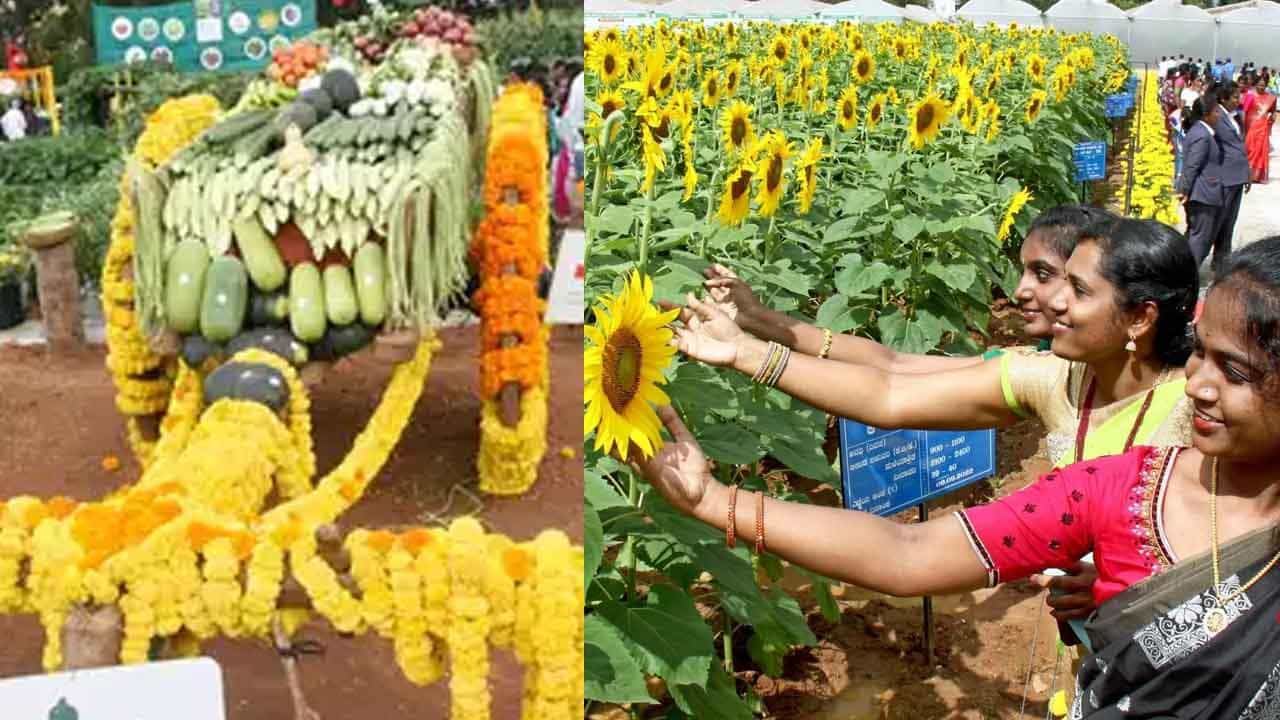 ದಾಖಲೆ ಬರೆದ ಬೆಂಗಳೂರು ಕೃಷಿ ಮೇಳ: ಒಂದೇ ದಿನ 7 ಲಕ್ಷ ಜನ ಭೇಟಿ ದಾಖಲೆ ಬರೆದ ಬೆಂಗಳೂರು ಕೃಷಿ ಮೇಳ: ಒಂದೇ ದಿನ 7 ಲಕ್ಷ ಜನ ಭೇಟಿ