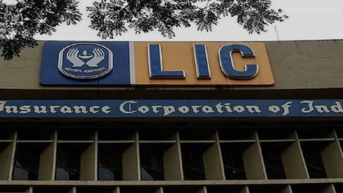 LIC: ಎಲ್​ಐಸಿಗೆ ಖಾಸಗಿ ಸಿಇಒ ನೇಮಿಸಲು ಕೇಂದ್ರ ಚಿಂತನೆ; ಆಧುನೀಕರಣಕ್ಕಾಗಿ ಕ್ರಮ