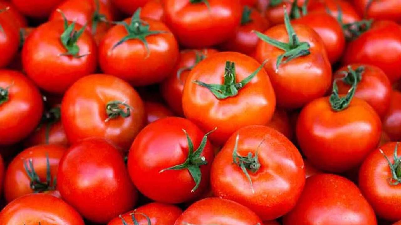 Tomato Side Effects: ಈ ಆರೋಗ್ಯ ಸಮಸ್ಯೆಯಿರುವವರು ಅಪ್ಪಿತಪ್ಪಿಯೂ  ಟೊಮೆಟೋವನ್ನು ತಿನ್ನಬೇಡಿ