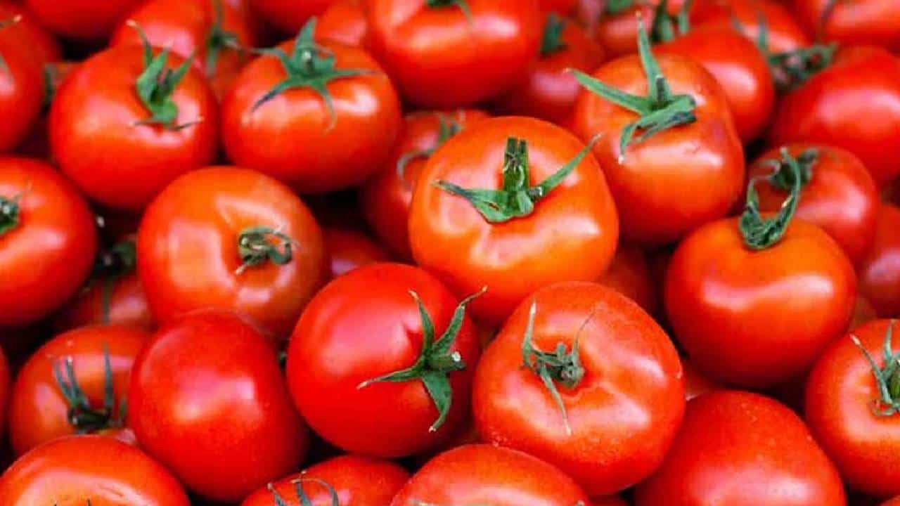Tomato Side Effects: ಈ ಆರೋಗ್ಯ ಸಮಸ್ಯೆಯಿರುವವರು ಅಪ್ಪಿತಪ್ಪಿಯೂ ಟೊಮೆಟೋವನ್ನು ತಿನ್ನಬೇಡಿ Tomato Side Effects: ಈ ಆರೋಗ್ಯ ಸಮಸ್ಯೆಯಿರುವವರು ಅಪ್ಪಿತಪ್ಪಿಯೂ ಟೊಮೆಟೋವನ್ನು ತಿನ್ನಬೇಡಿ