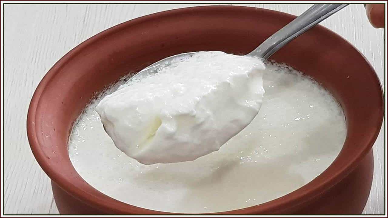 Curd Benefits: ಸಂಜೆ ಮೊಸರು ತಿನ್ನುವುದರಿಂದ ತೂಕ ನಿಯಂತ್ರಣಕ್ಕೆ ಬರುತ್ತೆ, ಇತರೆ ಪ್ರಯೋಜನಗಳ ತಿಳಿಯಿರಿ Curd Benefits: ಸಂಜೆ ಮೊಸರು ತಿನ್ನುವುದರಿಂದ ತೂಕ ನಿಯಂತ್ರಣಕ್ಕೆ ಬರುತ್ತೆ, ಇತರೆ ಪ್ರಯೋಜನಗಳ ತಿಳಿಯಿರಿ