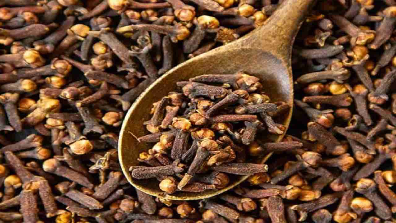 Clove Water: ಪ್ರತಿ ದಿನ ಲವಂಗದ ನೀರನ್ನು ಕುಡಿಯುವುದರಿಂದ ಆರೋಗ್ಯಕ್ಕೆ ಎಷ್ಟೆಲ್ಲಾ ಪ್ರಯೋಜನಗಳಿವೆ ಗೊತ್ತೇ?