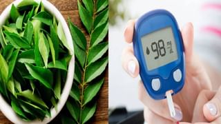 Cholesterol: ಕೊಲೆಸ್ಟ್ರಾಲ್ ಹೆಚ್ಚಾದಾಗ ದೇಹದಲ್ಲಿ ಈ 4 ಅಪಾಯಕಾರಿ ಲಕ್ಷಣಗಳು ಗೋಚರಿಸಬಹುದು ಎಚ್ಚರ