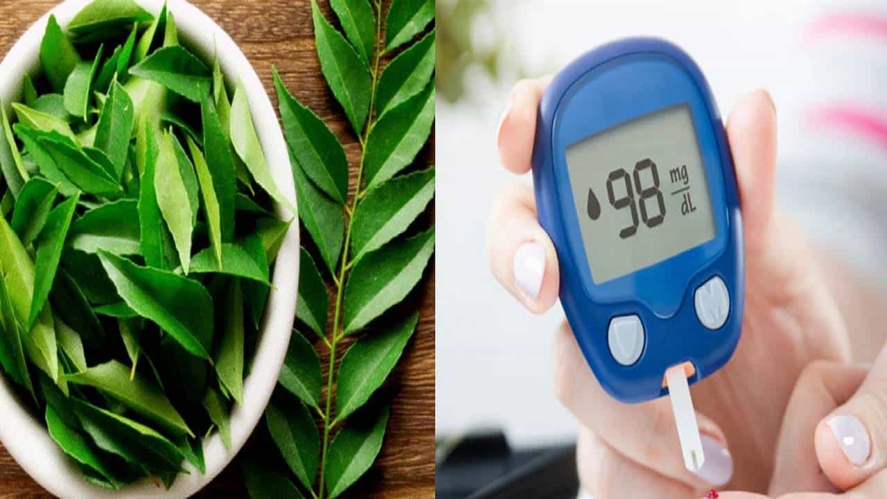 Blood Sugar: ರಕ್ತದಲ್ಲಿರುವ ಸಕ್ಕರೆ ಮಟ್ಟವನ್ನು ಕಡಿಮೆ ಮಾಡಲು ಸಹಾಯ ಮಾಡುವ ಎಲೆಗಳಿವು, ಬಳಕೆ ಹೇಗೆ? Blood Sugar: ರಕ್ತದಲ್ಲಿರುವ ಸಕ್ಕರೆ ಮಟ್ಟವನ್ನು ಕಡಿಮೆ ಮಾಡಲು ಸಹಾಯ ಮಾಡುವ ಎಲೆಗಳಿವು, ಬಳಕೆ ಹೇಗೆ?