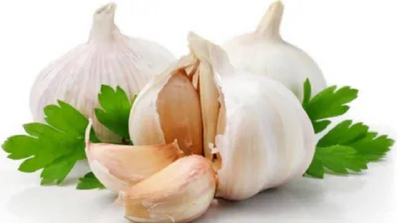 Garlic Peels: ಬೆಳ್ಳುಳ್ಳಿಯಿಂದ ಮಾತ್ರವಲ್ಲ ಅದರ ಸಿಪ್ಪೆಯಿಂದಲೂ ಈ ರೋಗಗಳನ್ನು ನಿವಾರಿಸುವ ಶಕ್ತಿ ಇದೆ ಗೊತ್ತೇ? Garlic Peels: ಬೆಳ್ಳುಳ್ಳಿಯಿಂದ ಮಾತ್ರವಲ್ಲ ಅದರ ಸಿಪ್ಪೆಯಿಂದಲೂ ಈ ರೋಗಗಳನ್ನು ನಿವಾರಿಸುವ ಶಕ್ತಿ ಇದೆ ಗೊತ್ತೇ?