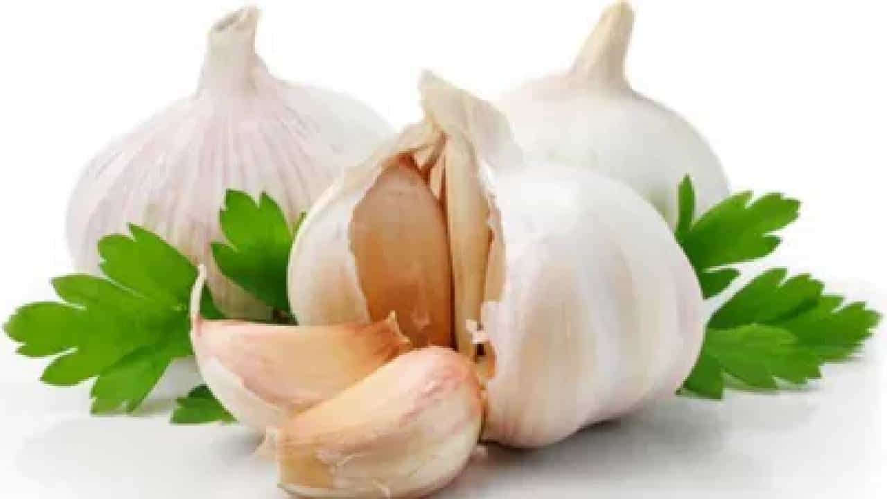 Garlic Peels: ಬೆಳ್ಳುಳ್ಳಿಯಿಂದ ಮಾತ್ರವಲ್ಲ ಅದರ ಸಿಪ್ಪೆಯಿಂದಲೂ ಈ ರೋಗಗಳನ್ನು ನಿವಾರಿಸುವ ಶಕ್ತಿ ಇದೆ ಗೊತ್ತೇ? Garlic Peels: ಬೆಳ್ಳುಳ್ಳಿಯಿಂದ ಮಾತ್ರವಲ್ಲ ಅದರ ಸಿಪ್ಪೆಯಿಂದಲೂ ಈ ರೋಗಗಳನ್ನು ನಿವಾರಿಸುವ ಶಕ್ತಿ ಇದೆ ಗೊತ್ತೇ?
