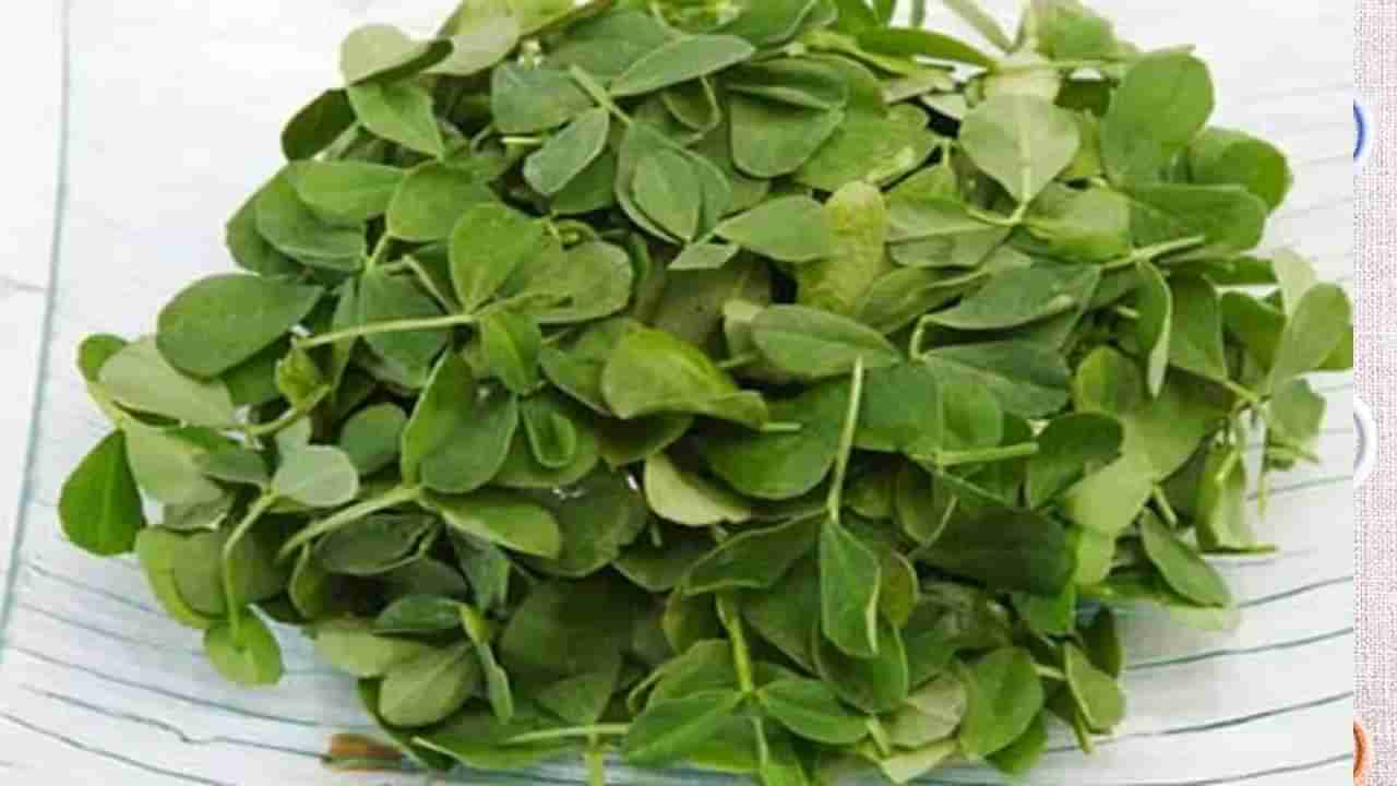 Methi Leaves Benefits: ರಕ್ತದಲ್ಲಿನ ಸಕ್ಕರೆ ಮಟ್ಟ ಕಡಿಮೆ ಮಾಡಿ, ತೂಕ ಇಳಿಕೆವರೆಗೂ ಮೆಂತ್ಯೆ ಸೊಪ್ಪಿನ ಪ್ರಯೋಜನಗಳು ಹತ್ತು ಹಲವು