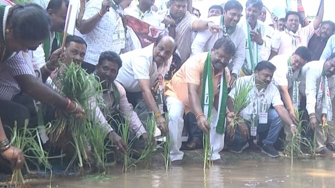 ಹೊಂಡ-ಗುಂಡಿ ರಸ್ತೆ; ಗುಂಡಿಗಳಿಗೆ ಇಳಿದು ಪೈರು ನಾಟಿ ಮಾಡಿದ ಶಾಸಕ ನಿಸರ್ಗ ನಾರಾಯಣಸ್ವಾಮಿ ಹೊಂಡ-ಗುಂಡಿ ರಸ್ತೆ; ಗುಂಡಿಗಳಿಗೆ ಇಳಿದು ಪೈರು ನಾಟಿ ಮಾಡಿದ ಶಾಸಕ ನಿಸರ್ಗ ನಾರಾಯಣಸ್ವಾಮಿ