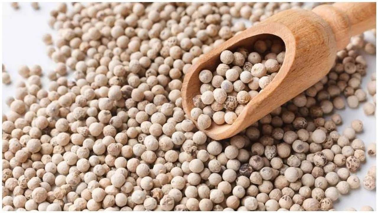 White Pepper Benefits: ರಕ್ತದೊತ್ತಡದಿಂದ ಗ್ಯಾಸ್ಟ್ರಿಕ್ ಸಮಸ್ಯೆ ನಿವಾರಣೆವರೆಗೆ, ಬಿಳಿ ಕಾಳು ಮೆಣಸಿನ ಪ್ರಯೋಜನಗಳೇನು ತಿಳಿಯಿರಿ White Pepper Benefits: ರಕ್ತದೊತ್ತಡದಿಂದ ಗ್ಯಾಸ್ಟ್ರಿಕ್ ಸಮಸ್ಯೆ ನಿವಾರಣೆವರೆಗೆ, ಬಿಳಿ ಕಾಳು ಮೆಣಸಿನ ಪ್ರಯೋಜನಗಳೇನು ತಿಳಿಯಿರಿ