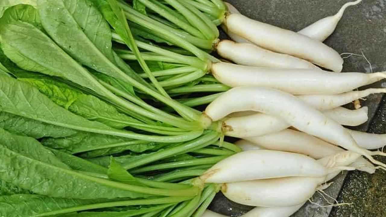 Radish Benefits: ಮೂಲಂಗಿಯಿಂದಾಗುವ ಆರೋಗ್ಯ ಪ್ರಯೋಜನಗಳನ್ನು ತಿಳಿಯಿರಿ Radish Benefits: ಮೂಲಂಗಿಯಿಂದಾಗುವ ಆರೋಗ್ಯ ಪ್ರಯೋಜನಗಳನ್ನು ತಿಳಿಯಿರಿ