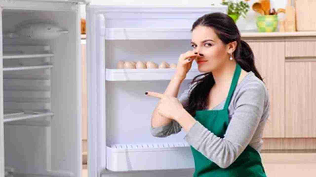 Fridge Cleaning Tips: ಫ್ರಿಜ್​ನಿಂದ ಕೆಟ್ಟ ವಾಸನೆ ಬರುತ್ತಿದೆಯೇ? ಸಮಸ್ಯೆ ಪರಿಹಾರಕ್ಕೆ ಈ ಸಲಹೆಗಳು ನಿಮಗಾಗಿ