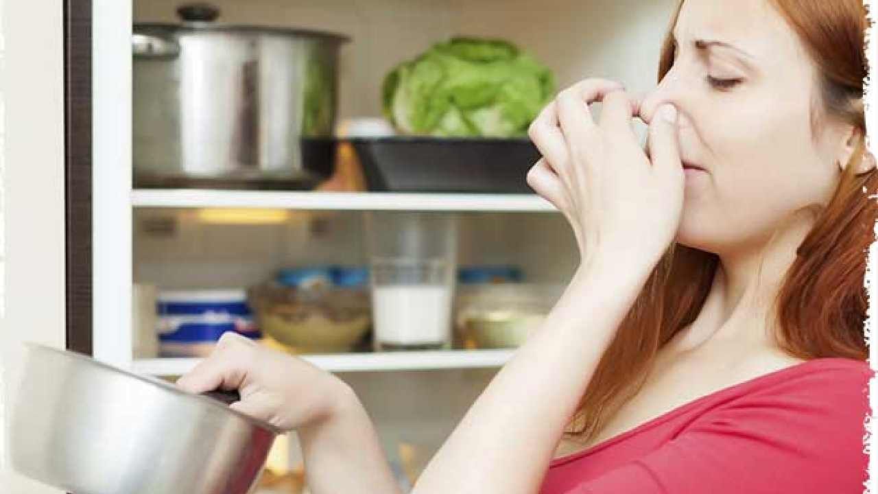 How to Remove Utensil Bad Smell: ಪಾತ್ರೆಯಿಂದ ಅಡುಗೆಯ ವಾಸನೆ ಹೋಗುತ್ತಿಲ್ಲವೇ? ಹಾಗಾದ್ರೆ ಈ ಸಲಹೆಗಳು ನಿಮ್ಮ ಸಹಾಯಕ್ಕೆ ಬರಬಹುದು How to Remove Utensil Bad Smell: ಪಾತ್ರೆಯಿಂದ ಅಡುಗೆಯ ವಾಸನೆ ಹೋಗುತ್ತಿಲ್ಲವೇ? ಹಾಗಾದ್ರೆ ಈ ಸಲಹೆಗಳು ನಿಮ್ಮ ಸಹಾಯಕ್ಕೆ ಬರಬಹುದು
