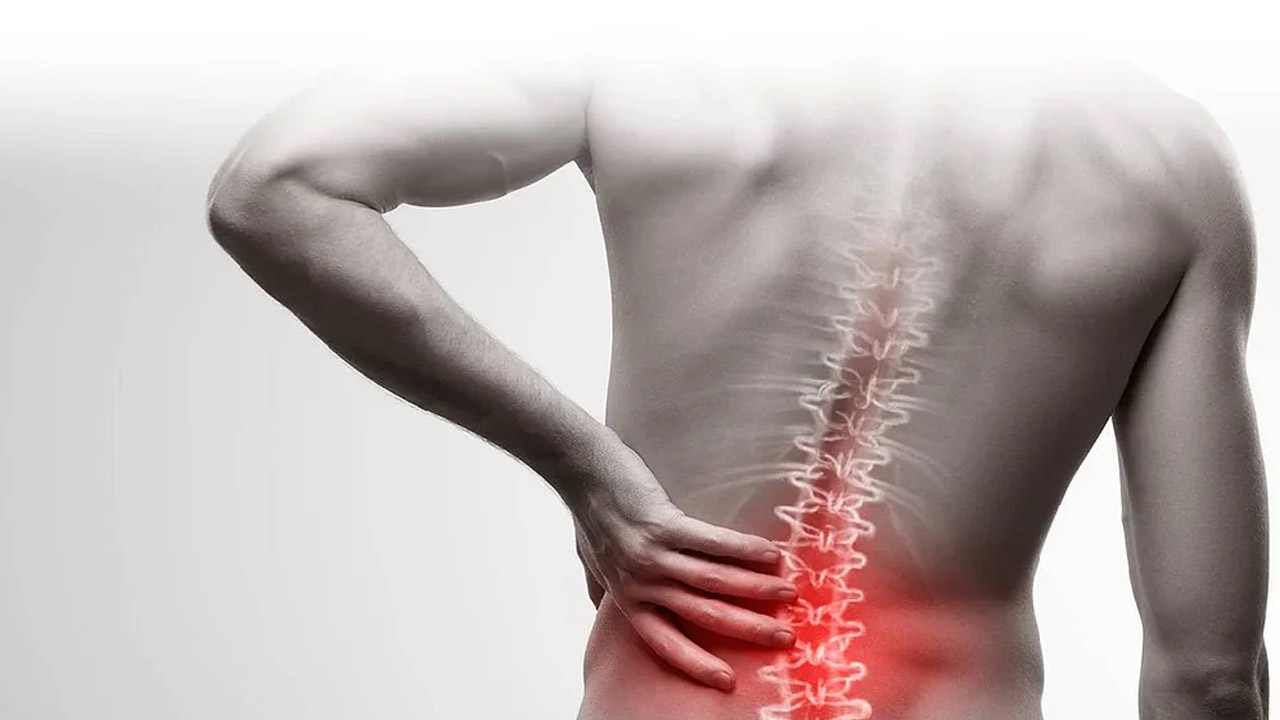 Back Pain: ವಿಪರೀತ ಬೆನ್ನು ನೋವಿದೆಯೇ? ಈ ಸುಲಭ ತಂತ್ರಗಳನ್ನು ಬಳಸಿ ನೋವು ಇಲ್ಲವಾಗಿಸಿ