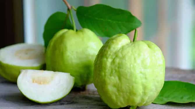 Guava Side Effects: ಪೇರಳೆ ಹಣ್ಣನ್ನು ತಿನ್ನುವಾಗ ಜಾಗ್ರತೆ, ಈ ಆರೋಗ್ಯ ಸಮಸ್ಯೆಗಳು ಕಾಡಬಹುದು