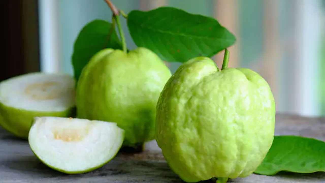 Guava Side Effects: ಪೇರಳೆ ಹಣ್ಣನ್ನು ತಿನ್ನುವಾಗ ಜಾಗ್ರತೆ, ಈ ಆರೋಗ್ಯ ಸಮಸ್ಯೆಗಳು ಕಾಡಬಹುದು