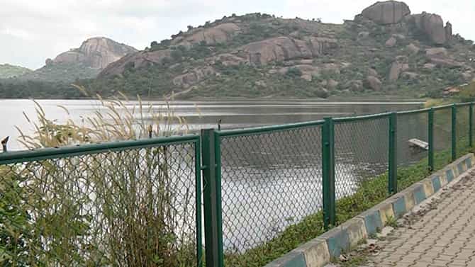 Ramanagara: ಪ್ರವಾಸಿಗರನ್ನು ತನ್ನತ್ತ ಸೆಳೆಯುತ್ತಿರುವ ರಂಗರಾಯನದೊಡ್ಡಿ ಕೆರೆಯ ಸುತ್ತಲೂ ಕಲರ್​ಫುಲ್ ಹೂವುಗಳು