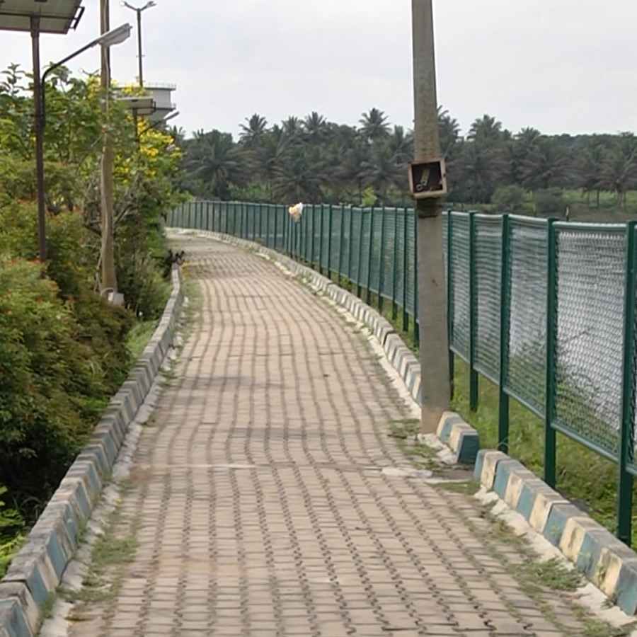 Ramanagara overflowing Rangarayanadoddi Lake around Different types of colourful flowers atracting tourists Ramanagar news in kannada
