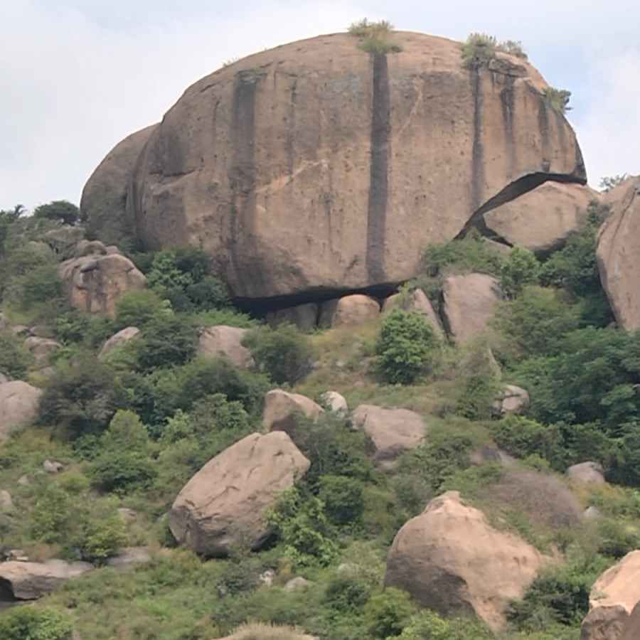 Ramanagara overflowing Rangarayanadoddi Lake around Different types of colourful flowers atracting tourists Ramanagar news in kannada
