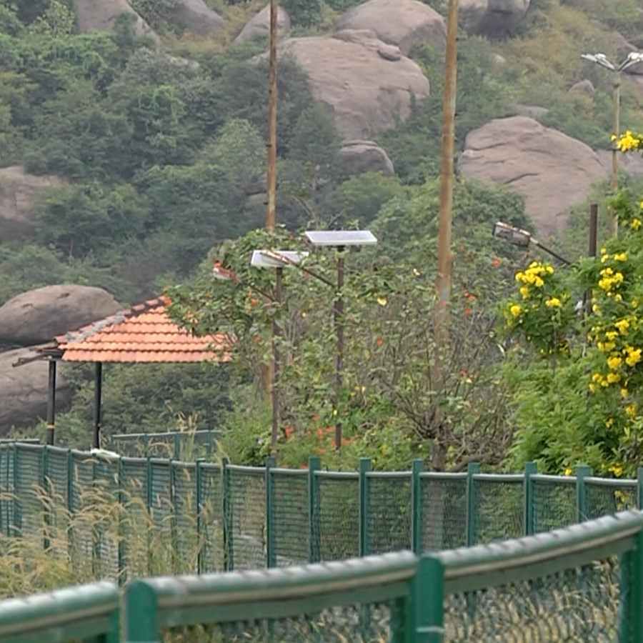 Ramanagara overflowing Rangarayanadoddi Lake around Different types of colourful flowers atracting tourists Ramanagar news in kannada
