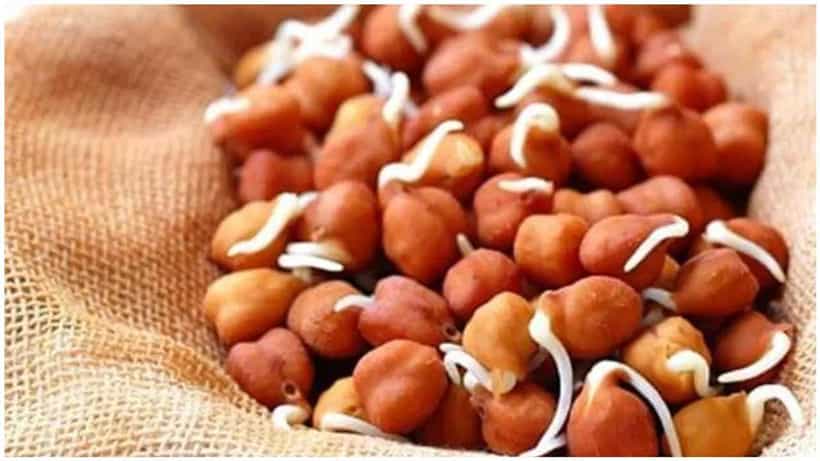 ಪ್ರತಿದಿನ ಖಾಲಿ ಹೊಟ್ಟೆಯಲ್ಲಿ ನೆನೆಸಿದ ಕಡಲೆ ತಿನ್ನಿ, ಅದ್ಭುತ ಆರೋಗ್ಯ ಪ್ರಯೋಜನಗಳನ್ನು ನಿಮ್ಮದಾಗಿಸಿಕೊಳ್ಳಿ