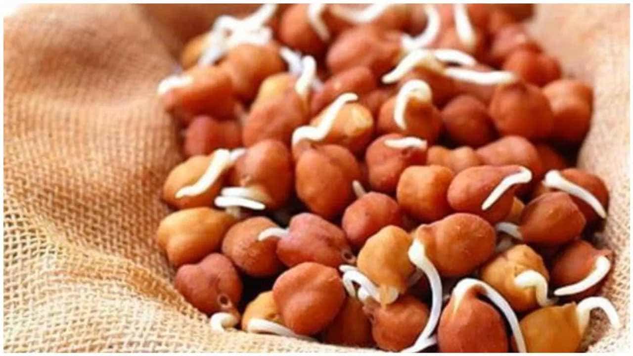 ಪ್ರತಿದಿನ ಖಾಲಿ ಹೊಟ್ಟೆಯಲ್ಲಿ ನೆನೆಸಿದ ಕಡಲೆ ತಿನ್ನಿ, ಅದ್ಭುತ ಆರೋಗ್ಯ ಪ್ರಯೋಜನಗಳನ್ನು ನಿಮ್ಮದಾಗಿಸಿಕೊಳ್ಳಿ ಪ್ರತಿದಿನ ಖಾಲಿ ಹೊಟ್ಟೆಯಲ್ಲಿ ನೆನೆಸಿದ ಕಡಲೆ ತಿನ್ನಿ, ಅದ್ಭುತ ಆರೋಗ್ಯ ಪ್ರಯೋಜನಗಳನ್ನು ನಿಮ್ಮದಾಗಿಸಿಕೊಳ್ಳಿ