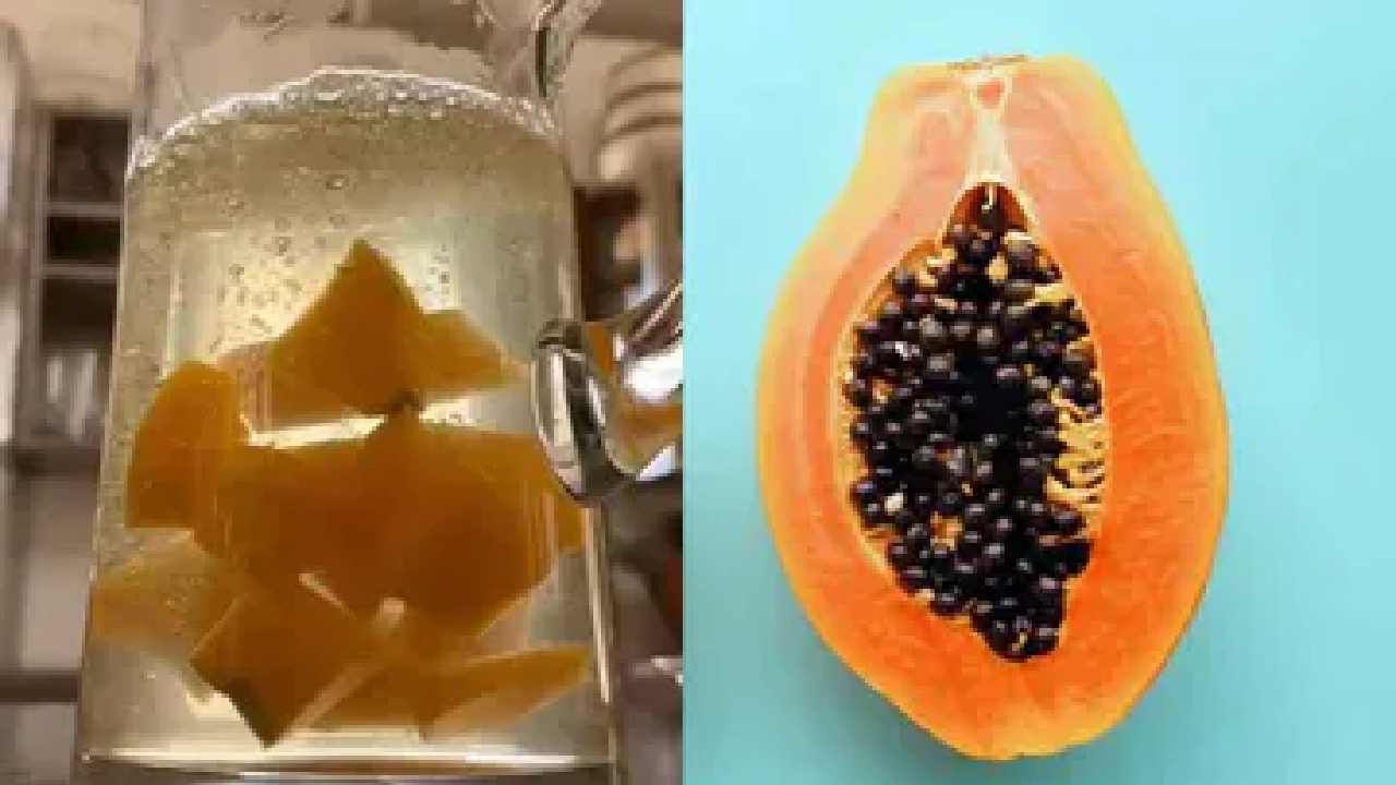 Papaya Water Benefits: ಪಪ್ಪಾಯಿ ನೀರು ಕುಡಿಯಿರಿ ಈ ಅದ್ಭುತ ಪ್ರಯೋಜನಗಳನ್ನು ಪಡೆಯಿರಿ Papaya Water Benefits: ಪಪ್ಪಾಯಿ ನೀರು ಕುಡಿಯಿರಿ ಈ ಅದ್ಭುತ ಪ್ರಯೋಜನಗಳನ್ನು ಪಡೆಯಿರಿ