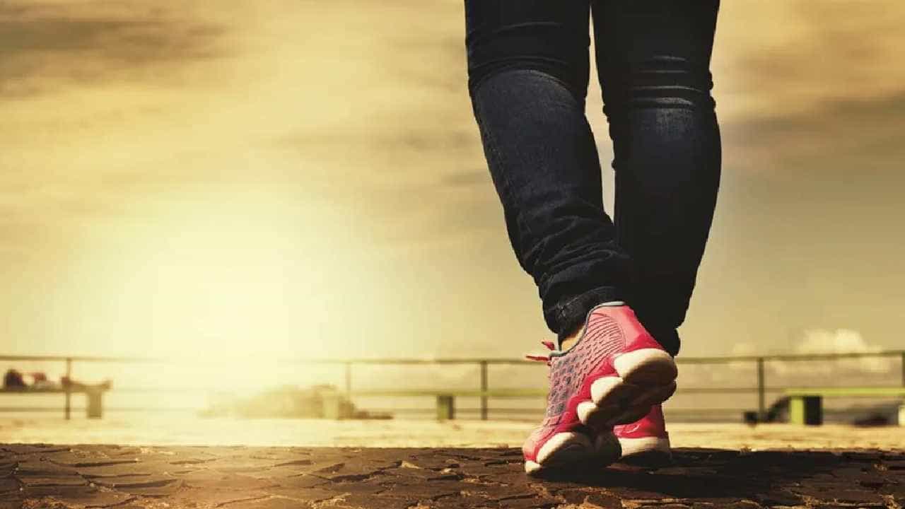 Walk: ತಿಂದ ನಂತರ ನಡೆಯುವುದು ಉತ್ತಮವೇ? ತಜ್ಞರು ಹೇಳುವುದೇನು? Walk: ತಿಂದ ನಂತರ ನಡೆಯುವುದು ಉತ್ತಮವೇ? ತಜ್ಞರು ಹೇಳುವುದೇನು?