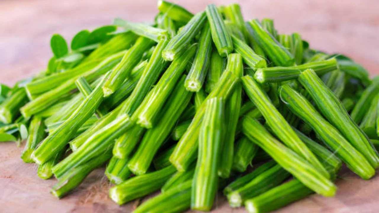 Drumstick Benefits: ನೂರು ಗುಣಗಳು ಅಡಕವಾಗಿರುವ ನುಗ್ಗೆಕಾಯಿಗೆ 300 ರೋಗಗಳನ್ನು ಗುಣಪಡಿಸುವ ಶಕ್ತಿ ಇದೆ ಗೊತ್ತೇ? Drumstick Benefits: ನೂರು ಗುಣಗಳು ಅಡಕವಾಗಿರುವ ನುಗ್ಗೆಕಾಯಿಗೆ 300 ರೋಗಗಳನ್ನು ಗುಣಪಡಿಸುವ ಶಕ್ತಿ ಇದೆ ಗೊತ್ತೇ?
