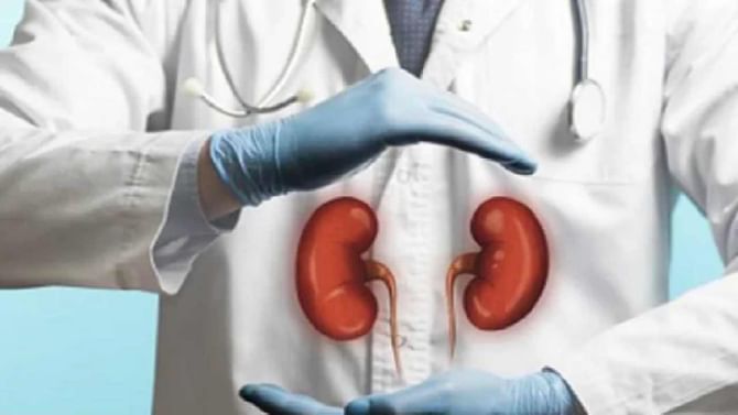 Kidney Transplant: ಯಾವ ಹಂತದಲ್ಲಿರುವಾಗ ಕಿಡ್ನಿ ಕಸಿ ಅಗತ್ಯ, ಮುನ್ನೆಚ್ಚರಿಕೆಗಳೇನು? ತಿಳಿಯಿರಿ Kidney Transplant: ಯಾವ ಹಂತದಲ್ಲಿರುವಾಗ ಕಿಡ್ನಿ ಕಸಿ ಅಗತ್ಯ, ಮುನ್ನೆಚ್ಚರಿಕೆಗಳೇನು? ತಿಳಿಯಿರಿ