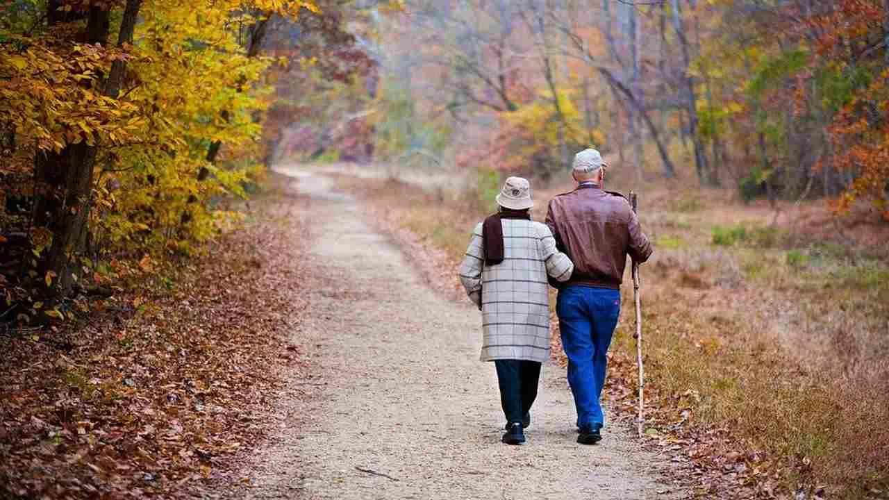 Walk In Winter: ಚಳಿಗಾಲದಲ್ಲಿ ಬೆಳಗ್ಗೆ ವಾಕಿಂಗ್ ಹೋಗುವುದು ಎಷ್ಟು ಸೂಕ್ತ, ಸರಿಯಾದ ಸಮಯ ಯಾವುದು? Walk In Winter: ಚಳಿಗಾಲದಲ್ಲಿ ಬೆಳಗ್ಗೆ ವಾಕಿಂಗ್ ಹೋಗುವುದು ಎಷ್ಟು ಸೂಕ್ತ, ಸರಿಯಾದ ಸಮಯ ಯಾವುದು?