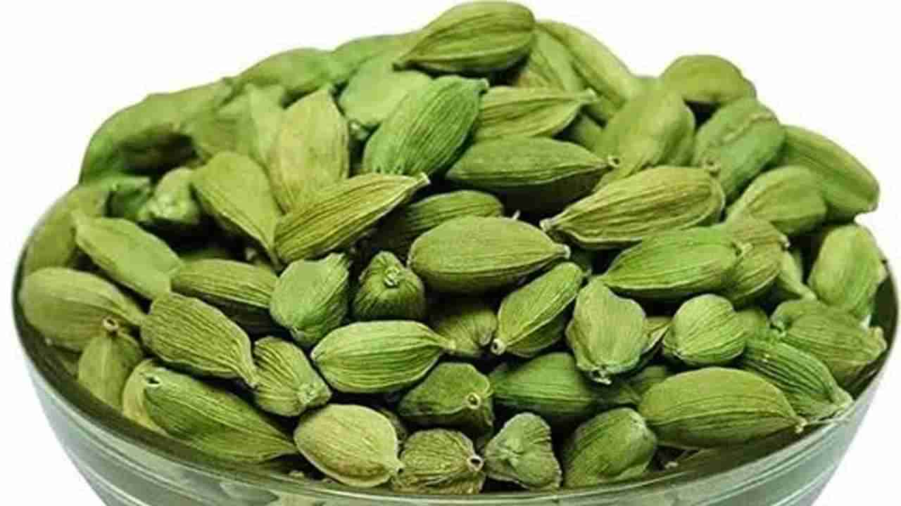 Cardamom Benefits: ಏಲಕ್ಕಿಯು ಅಧಿಕ ರಕ್ತದೊತ್ತಡವನ್ನು ನಿಯಂತ್ರಿಸಲು ಸಹಾಯ ಮಾಡುತ್ತೆ, ಇತರೆ ಪ್ರಯೋಜನಗಳ ತಿಳಿಯಿರಿ