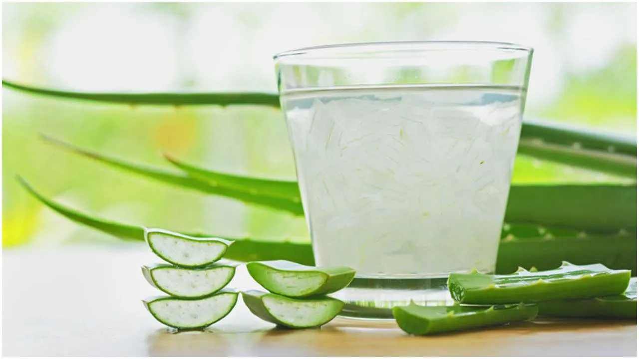 Aloe Vera Juice: ಚಳಿಗಾಲದಲ್ಲಿ ಖಾಲಿ ಹೊಟ್ಟೆಯಲ್ಲಿ ಅಲೋವೆರಾ ಜ್ಯೂಸ್ ಕುಡಿಯುವುದರಿಂದಾಗುವ ಆರೋಗ್ಯ ಪ್ರಯೋಜನಗಳಿವು Aloe Vera Juice: ಚಳಿಗಾಲದಲ್ಲಿ ಖಾಲಿ ಹೊಟ್ಟೆಯಲ್ಲಿ ಅಲೋವೆರಾ ಜ್ಯೂಸ್ ಕುಡಿಯುವುದರಿಂದಾಗುವ ಆರೋಗ್ಯ ಪ್ರಯೋಜನಗಳಿವು