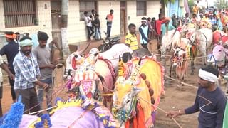 Sheep Rearing: ಹಾವೇರಿ -ಕುರಿ ಸಾಕಿ ಜೀವನೋಪಾಯ ಕಟ್ಟಿಕೊಂಡ ದಂಪತಿ, ಜೀವನದಲ್ಲಿ ಹಿಂದಿರುಗಿ ನೋಡಿಲ್ಲ!