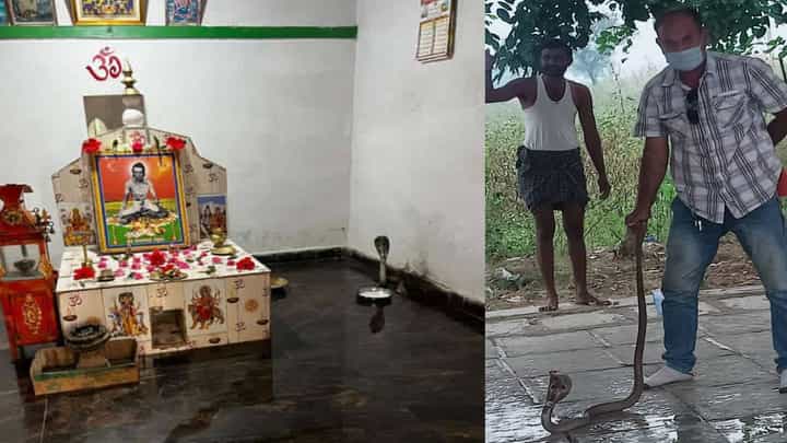 ರಂಗಾಪುರದ ವೀರಭದ್ರೇಶ್ವರ ಮಠದಲ್ಲಿ ನಾಗರಹಾವು ಪ್ರತ್ಯಕ್ಷ; ಹಾವಿಗೆ ಹಾಲಿಟ್ಟು ಘೋಷಣೆ ಕೂಗಿದ ಜನ ರಂಗಾಪುರದ ವೀರಭದ್ರೇಶ್ವರ ಮಠದಲ್ಲಿ ನಾಗರಹಾವು ಪ್ರತ್ಯಕ್ಷ; ಹಾವಿಗೆ ಹಾಲಿಟ್ಟು ಘೋಷಣೆ ಕೂಗಿದ ಜನ